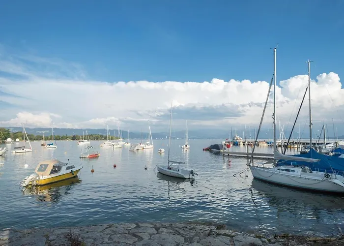 Seenaah Auf Der Insel Lindau Nr 8