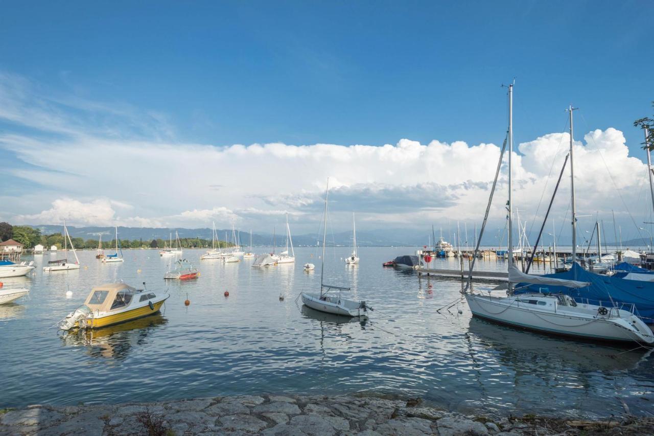 Seenaah Auf Der Insel Lindau Nr 8